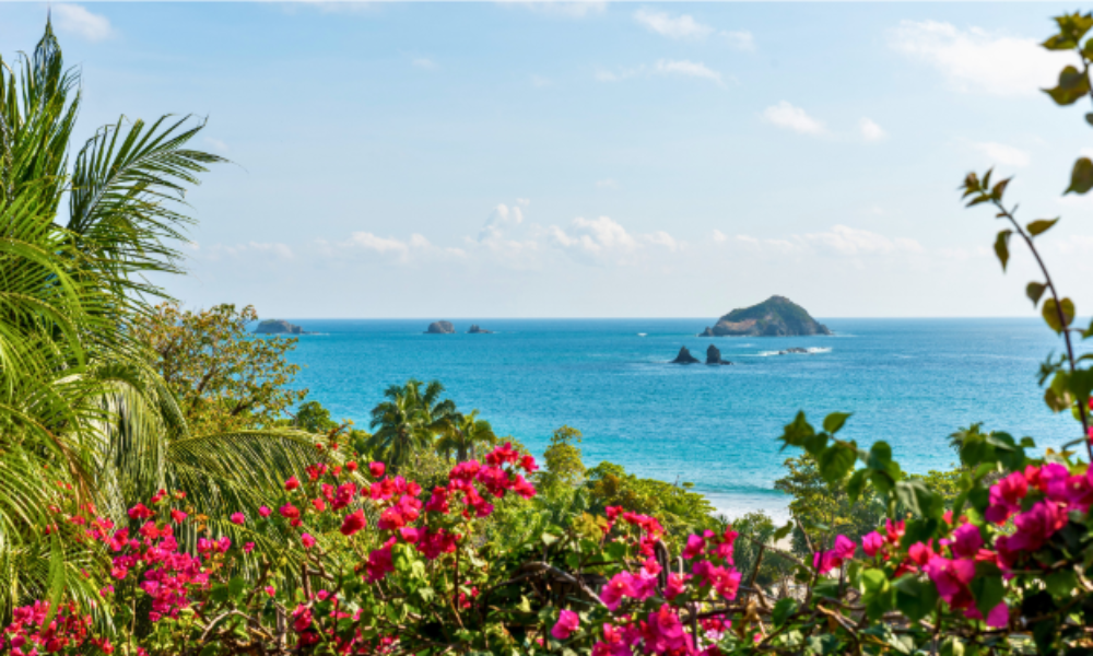 A picturesque ocean view framed by blooming flowers, showcasing the beauty of Costa Rica for group and family travel planning.