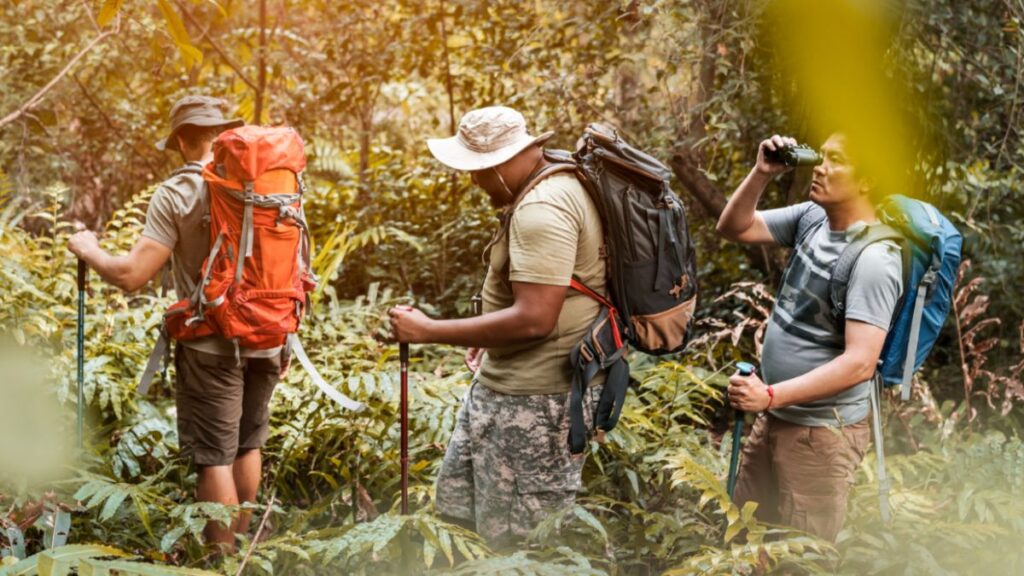 Expedition Travel: 5 Unforgettable Journeys Across the Globe 1 Three men with backpacks hiking through a lush jungle during an expedition travel adventure.