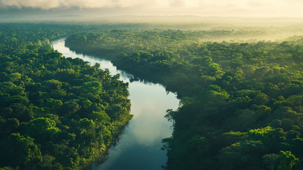 Serene view of the Amazon River surrounded by dense rainforest, highlighting the allure of expedition travel in the Amazon.