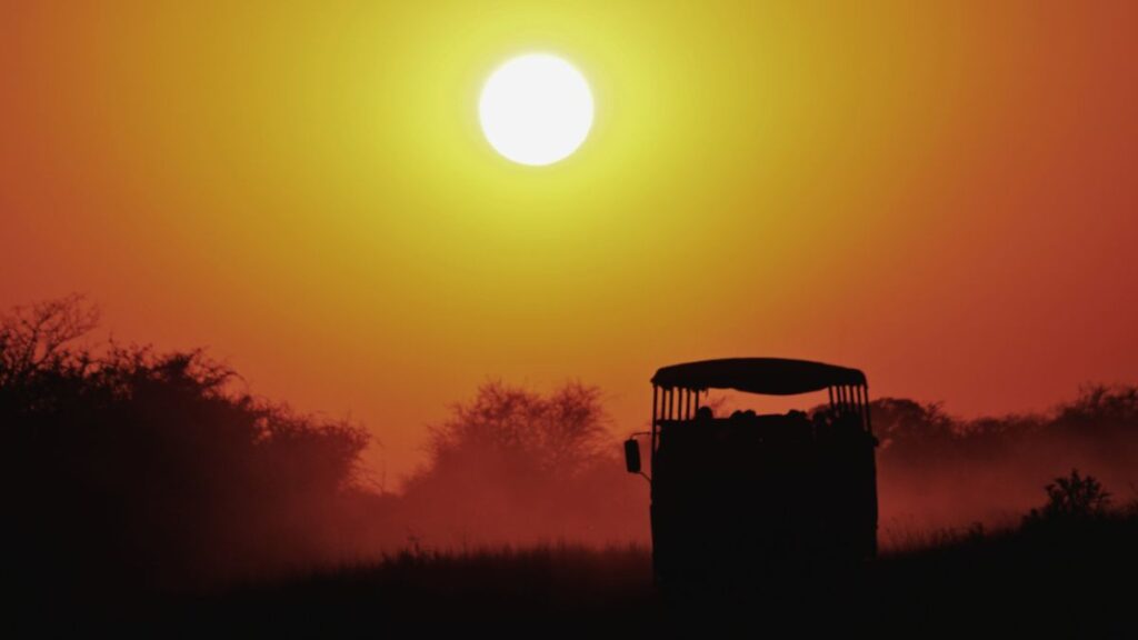 A jeep drives down a road at sunset, part of the Safari Africa experience for a nighttime safari adventure.