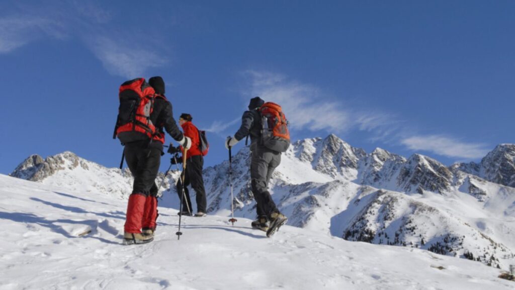 Antarctica Expedition Itineraries: From Peninsula Cruises to Deep Field Adventures 6 Three hikers trek across a snowy mountain on Antarctica expedition itineraries, surrounded by vast icy landscapes.