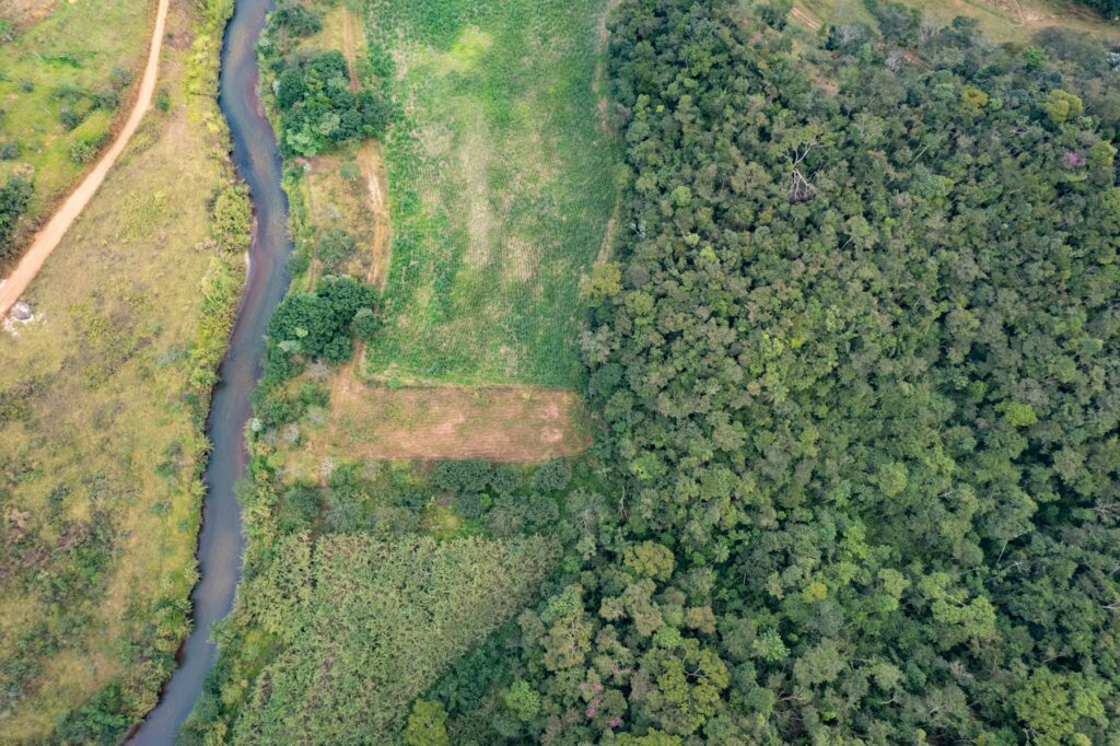 Amazon Beyond the Lodge: A 9-Day Private Rio Negro Expedition 5 Aerial view of a dark Amazon river winding through dense rainforest in Brazil