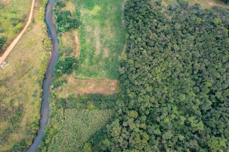 Aerial view of a dark Amazon river winding through dense rainforest in Brazil