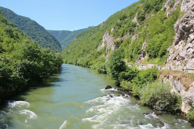 Green Balkan mountains and river landscape in Bosnia and Montenegro