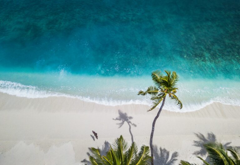 Aerial view of a turquoise lagoon and palm-fringed white sand beach, one of the most beautiful beaches in the world