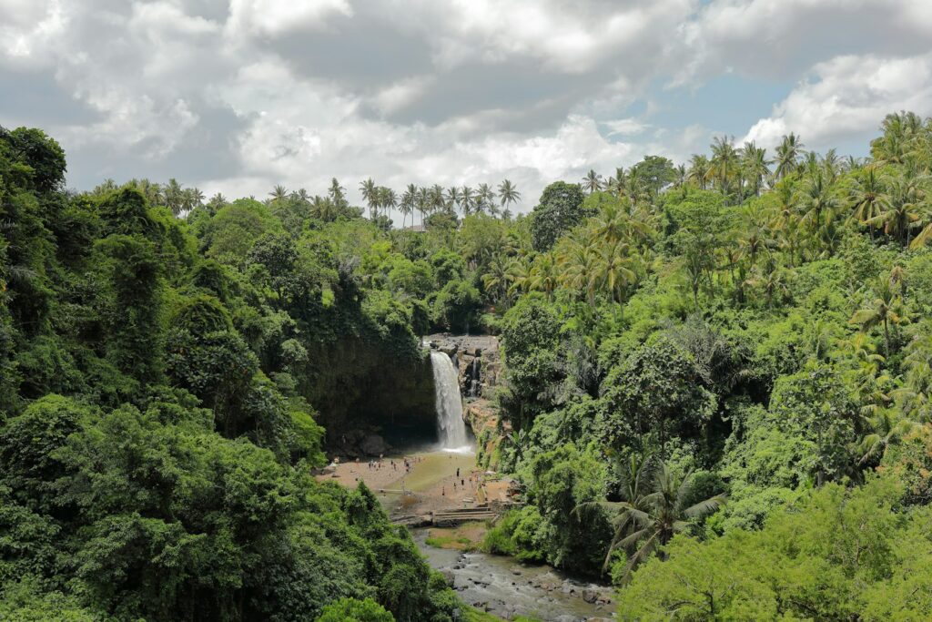 el limon jungle waterfall samana