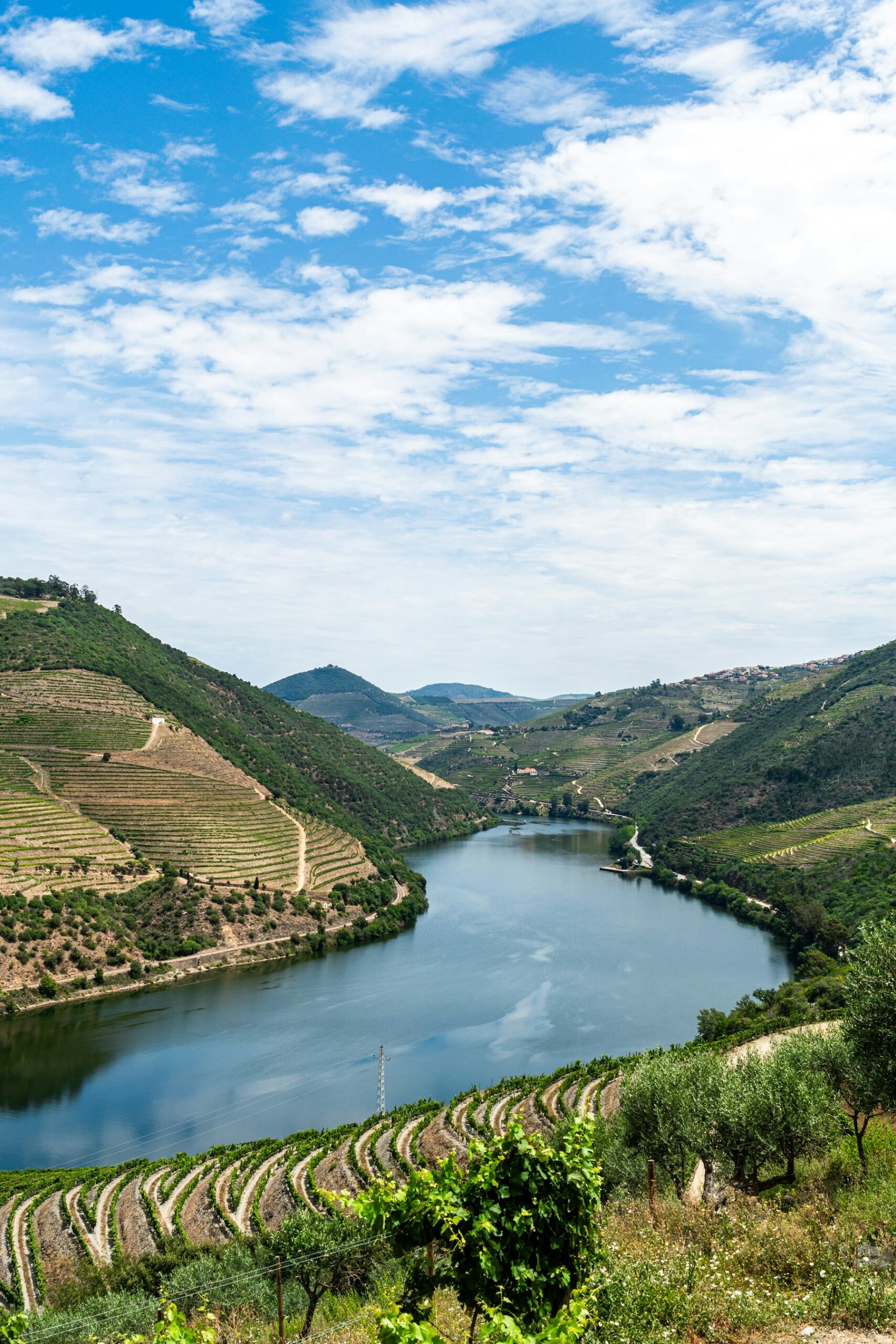 Terraced vineyards stepping down to a still bend of the Douro in northern Portugal, the quietest week on any European river cruise map.