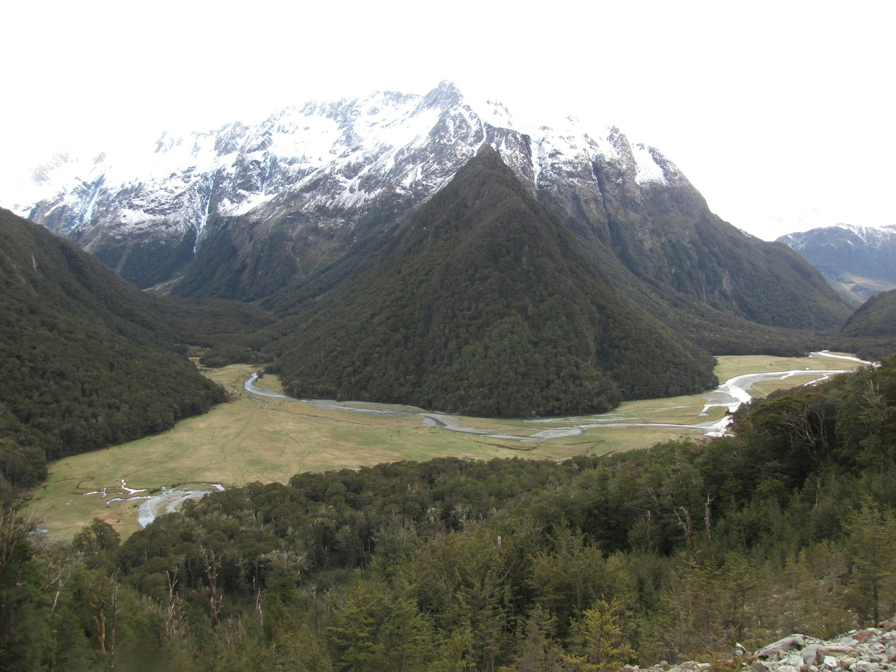 Snow on the tops above the braided Route Burn and its grassed flats, seen from the climb above the bushline on the Routeburn Track.